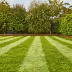 Verve Fine English Grass Seeds, 1.25kg -Hozelock Shop verve fine english grass seeds 1 25kg3663602947592 01i