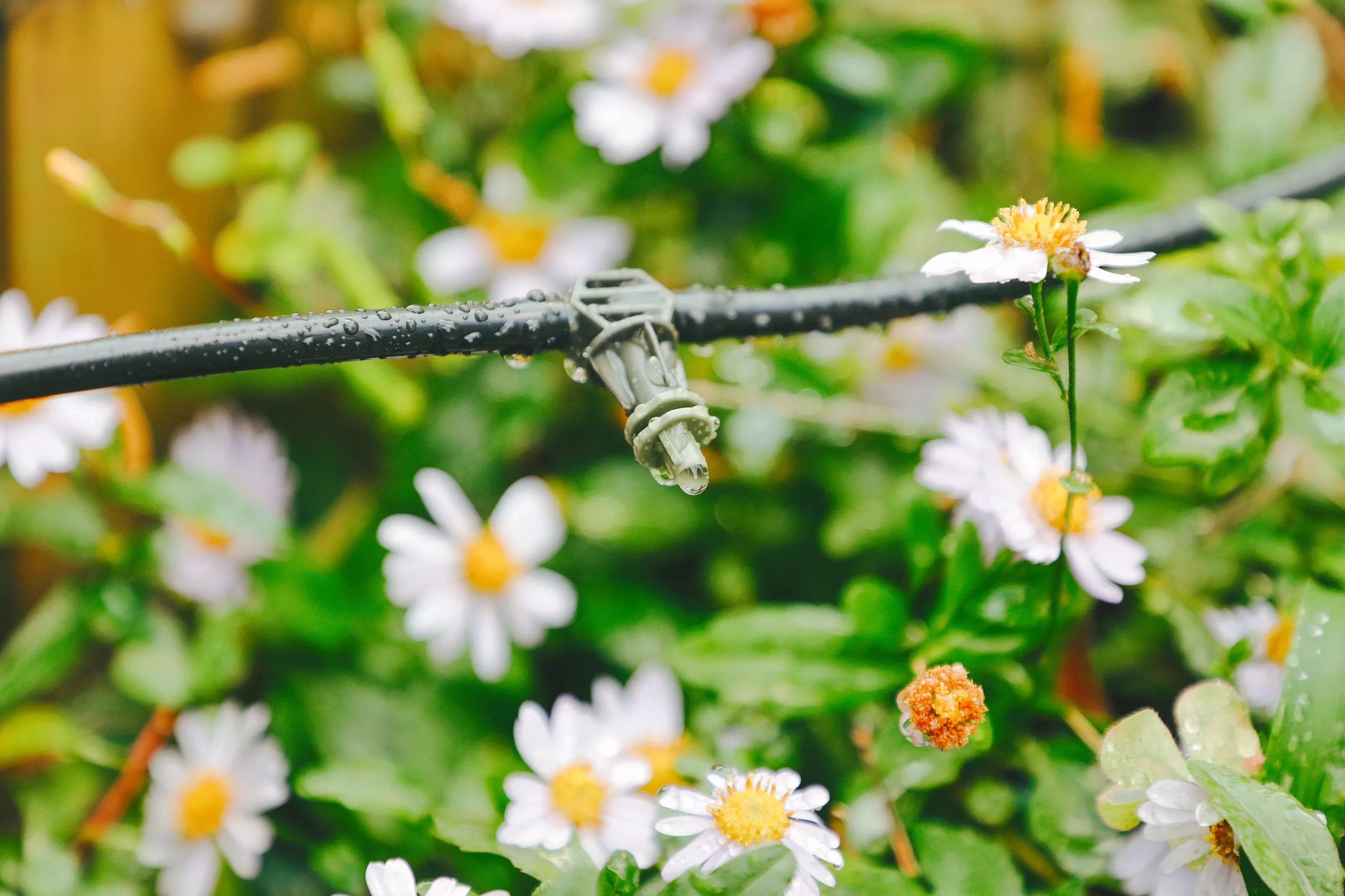 Verve Irrigation Kit 40 Pieces 1 Verve Irrigation Kit 40 Pieces