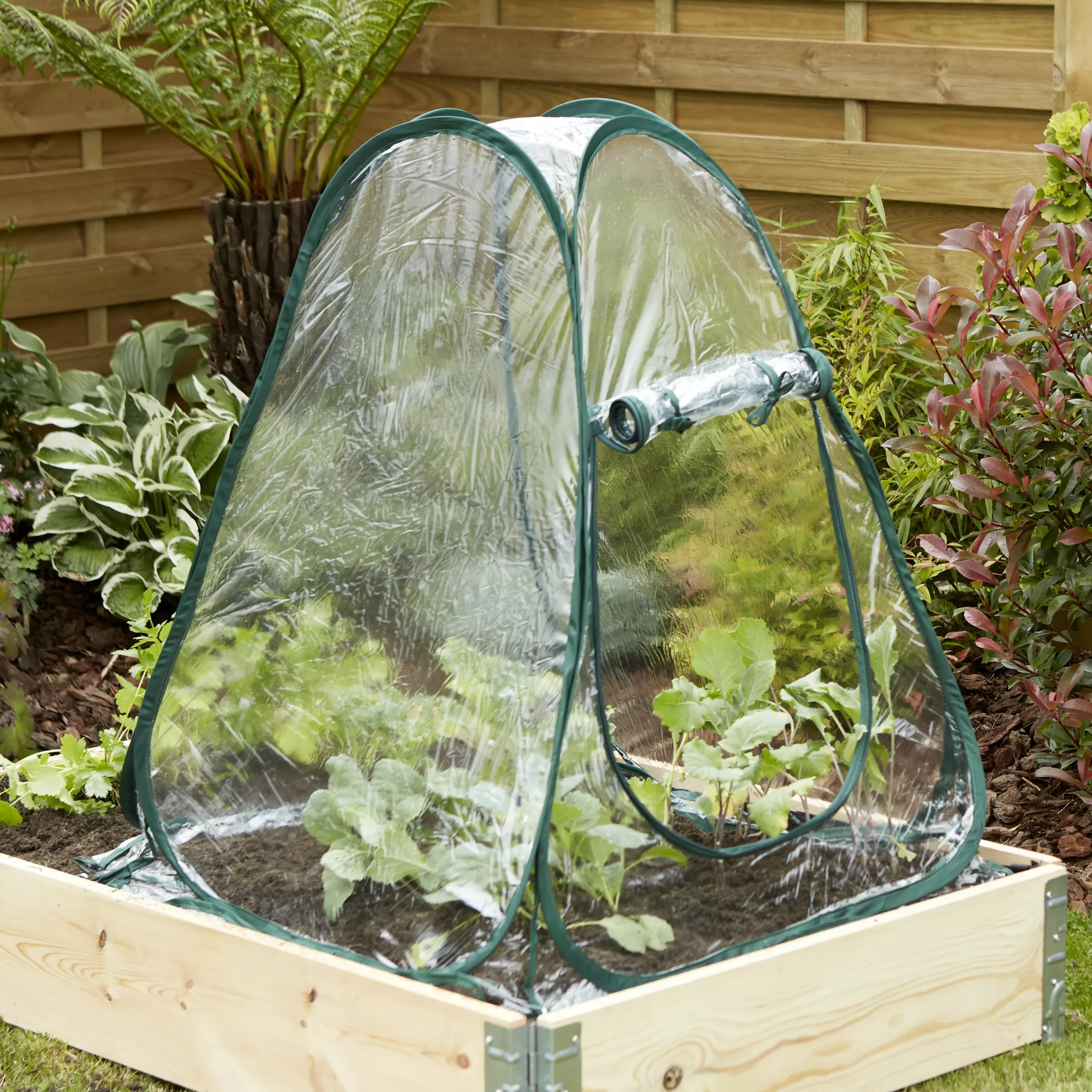 Verve Metal Coldframe 80cm(H) 68cm(W) 2 Verve Metal Coldframe 80cm(H) 68cm(W) - Image 2