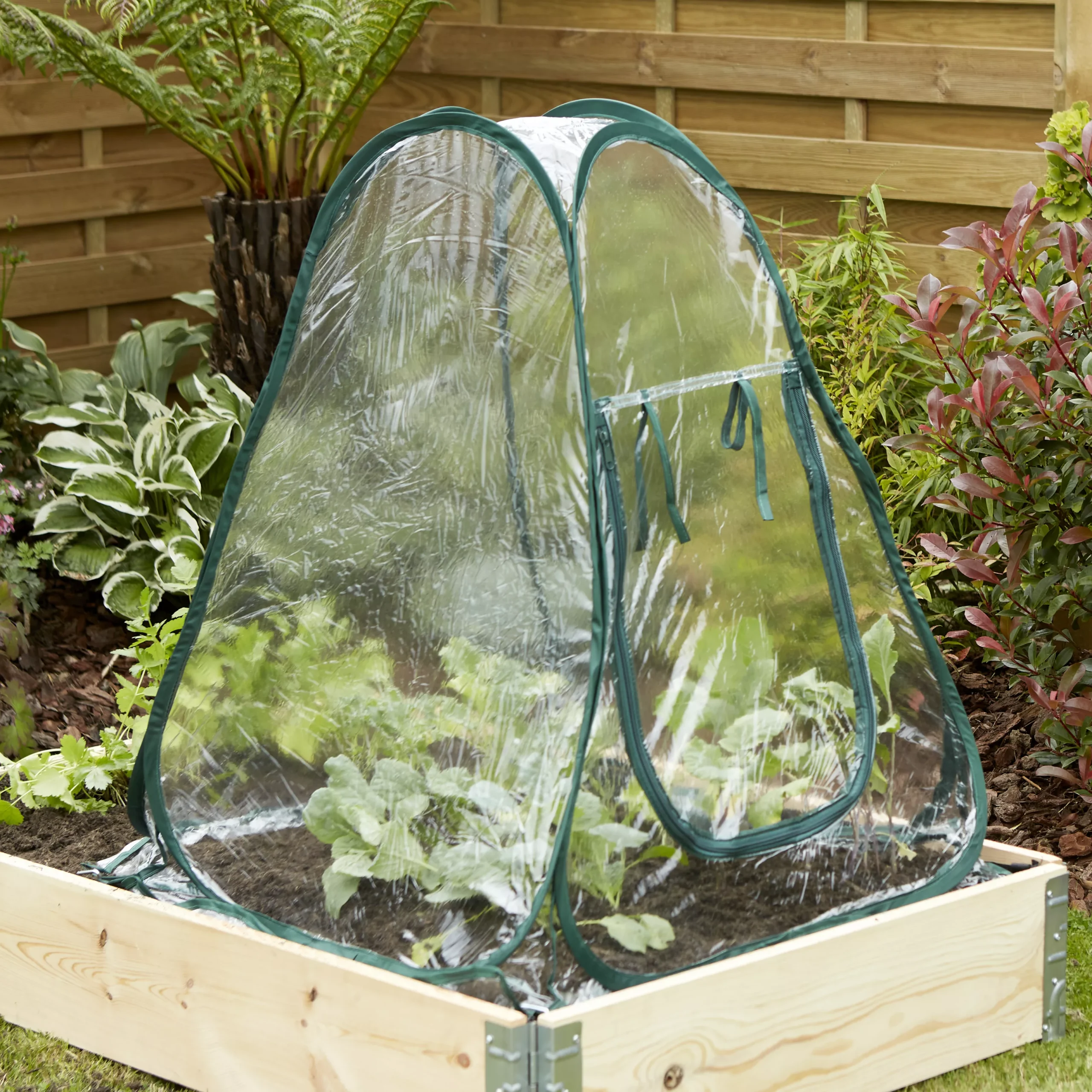 Verve Metal Coldframe 80cm(H) 68cm(W) 3 Verve Metal Coldframe 80cm(H) 68cm(W) - Image 3