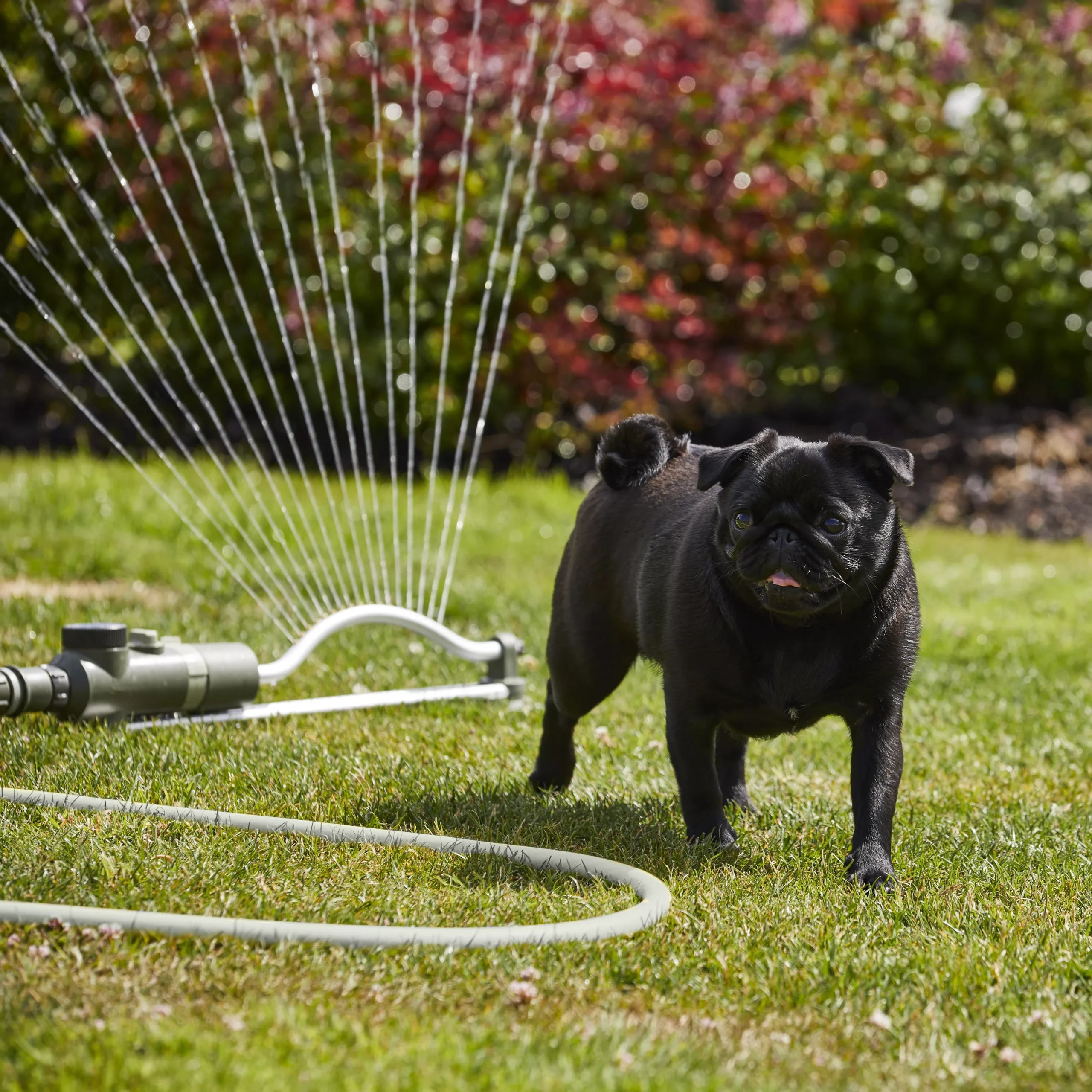 Verve Oscillating Fan Sprinkler 8 Verve Oscillating Fan Sprinkler - Image 8