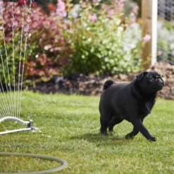 Verve Oscillating Fan Sprinkler 19 Verve Oscillating Fan Sprinkler -Hozelock Shop verve oscillating fan sprinkler5059340251240 08i