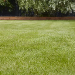 Verve Universal Grass Seeds, 1.5kg -Hozelock Shop verve universal grass seeds 1 5kg3663602947455 01i