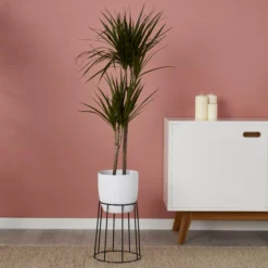 White Ceramic Round Plant Pot (Dia)21.5cm -Hozelock Shop white ceramic round plant pot dia 21 5cm3663602440826 01i bq